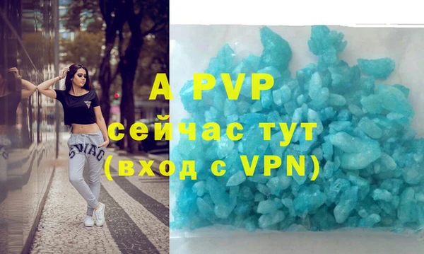 дживик Горняк