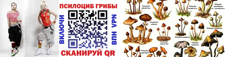 Псилоцибиновые грибы Magic Shrooms Железногорск